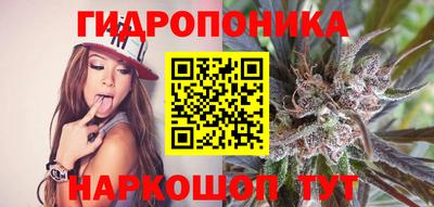 spice Кимры